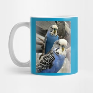 Blue Budgies Mug